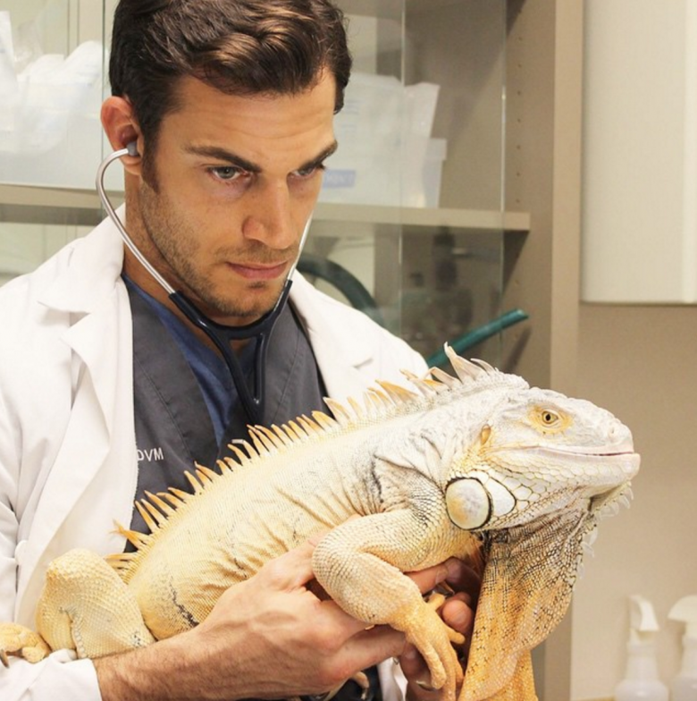 Ветеринар орнитолог. Доктор Evan Antin. Ветеринарный герпетолог. Ветеринар по рептилиям.