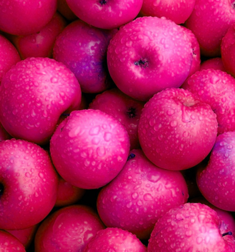 Розовое яблоко. Розовый фрукт. Фрукты розового цвета. Яблоко розового цвета. Сорта ранних розовых