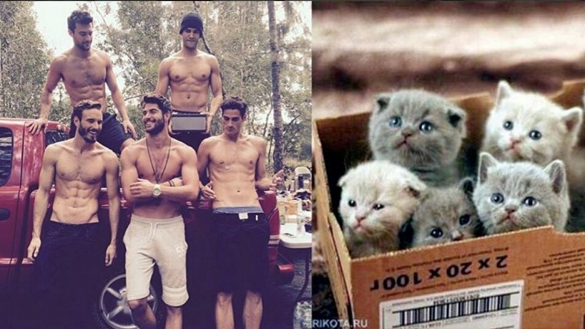 #Hotdudes : Des hommes et des chatons, le compte Instagram le plus craquant du mois