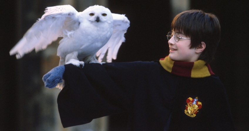 L'Armoire Geek : quand la magie d'Harry Potter vient à nous