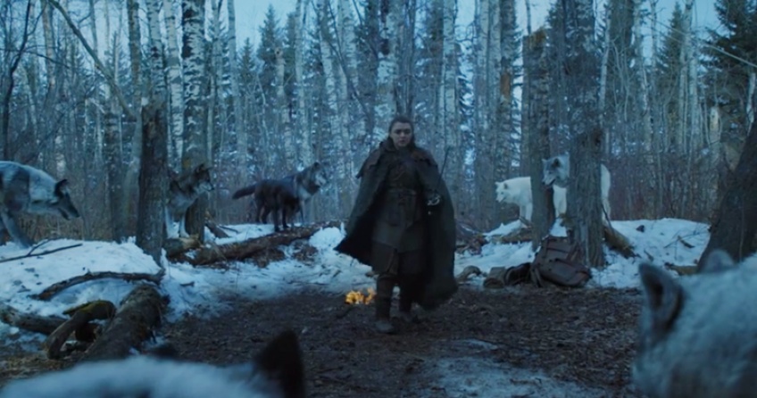 Game Of Thrones : découvrez les dessous des retrouvailles d'Arya et son loup Nymeria
