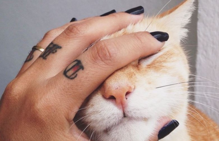 Ring Tattoos : les 20 meilleures inspirations pour remplacer vos bagues