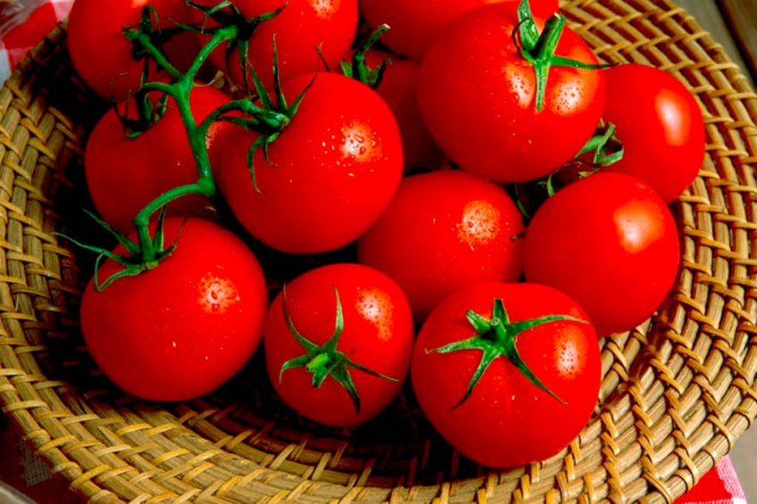 Les tomates que vous achetez au supermarché sont des fausses tomates !