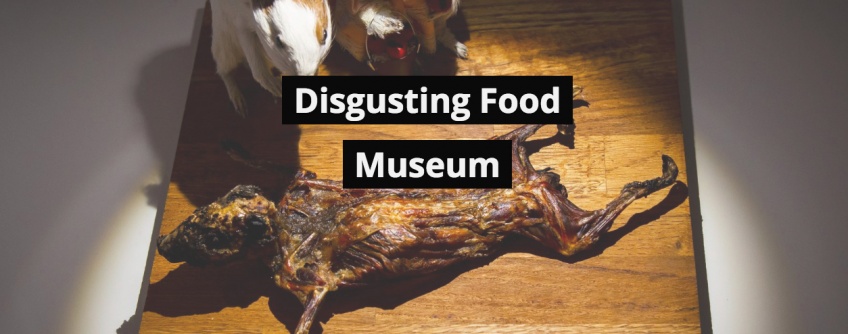 Un musée sur les plats les plus immondes a ouvert ses portes !