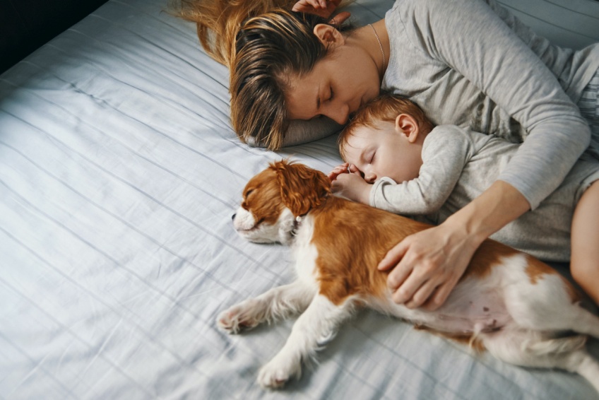 C’est prouvé : les bébés devraient dormir avec leur mère jusqu’à l’âge de 3 ans