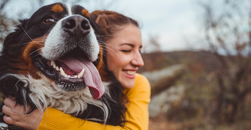 8 gestes du quotidien qui réduisent l'espérance de vie de notre chien