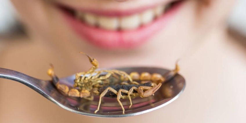 Le Bon Coup des Éclaireuses #4 : Seriez-vous prêts à manger des insectes ?
