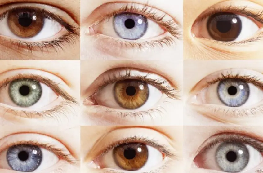 Une étude révèle ce que la couleur de vos yeux dit de votre personnalité