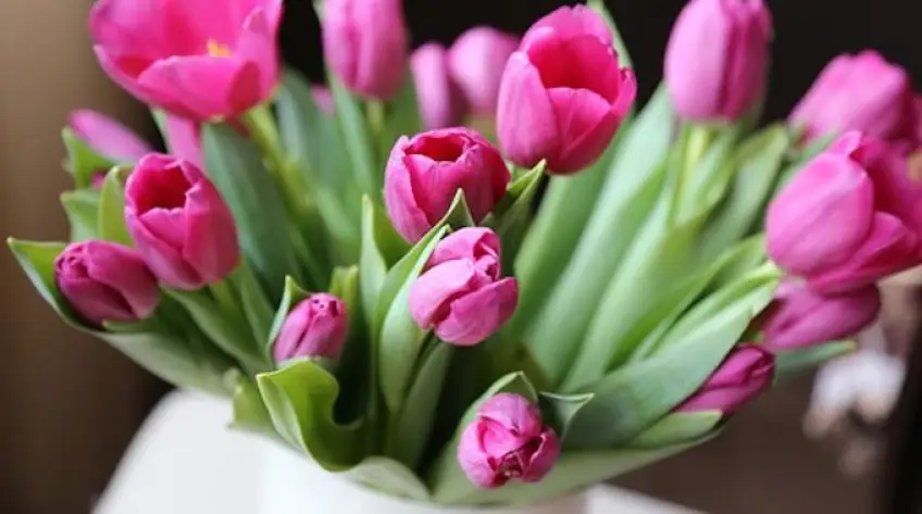 Saint-Valentin : les 10 fleurs tendance à offrir à votre partenaire en 2022 !