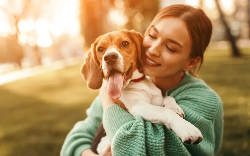 Vous pouvez désormais adopter des beagles sauvés de laboratoires !