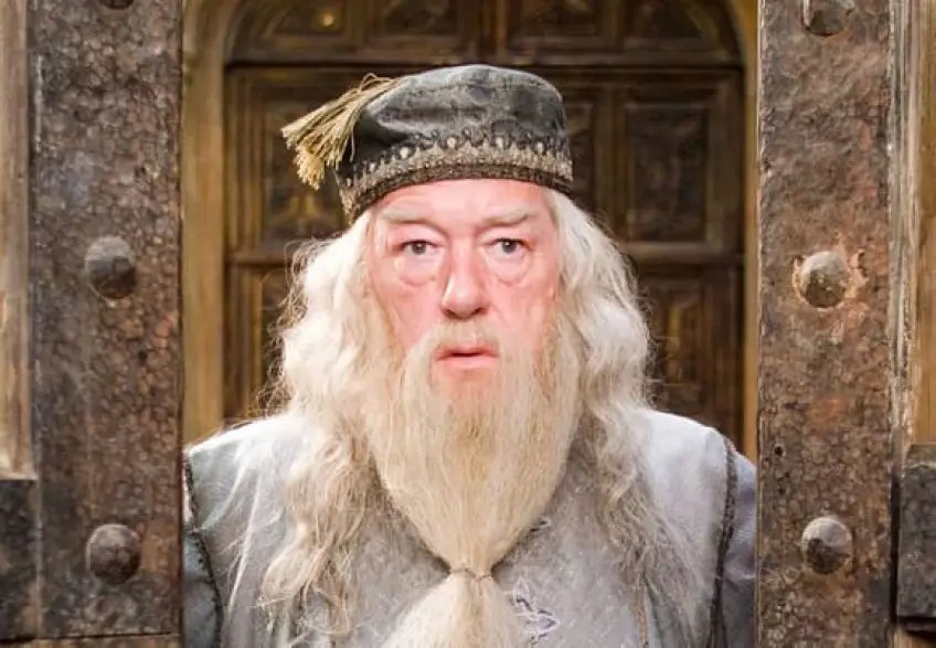 Michael Gambon, alias Dumbledore dans "Harry Potter" est décédé à l'âge de 82 ans