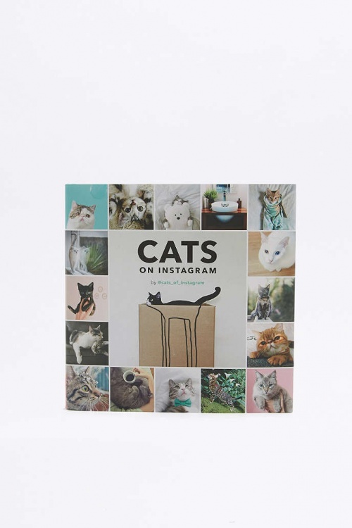 Cats on instagram - Livre