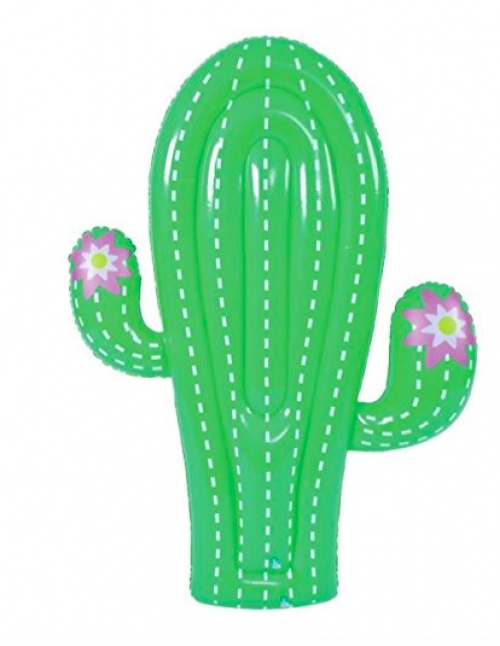 Takestop - Cactus fleuri gonflable