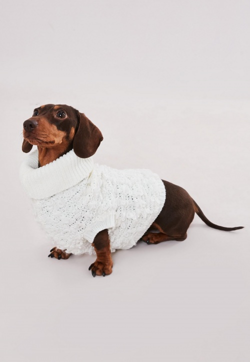 Missguided - Pull pour chien