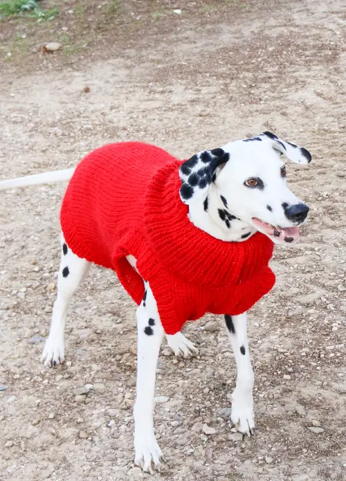 We Are Knitters - Kit Scooby Sweater 