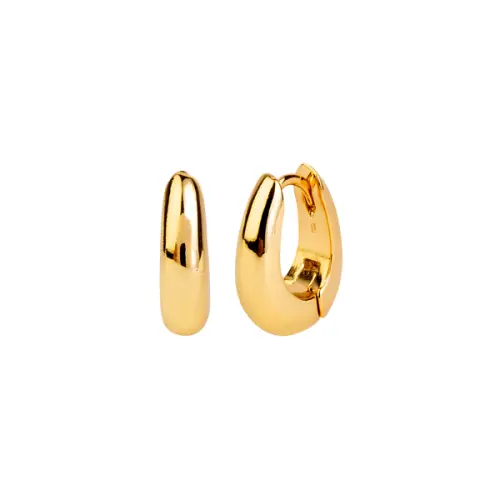 Small Belle Gold Earrings - Aleyole