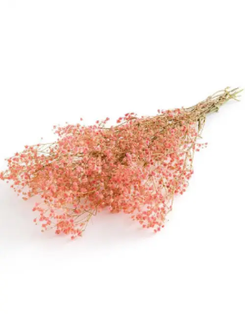 La Redoute - bouquet de fleurs séchées