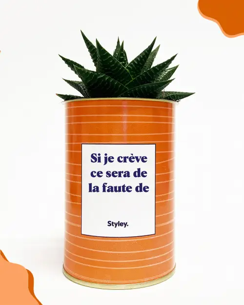 Styley - Cactus