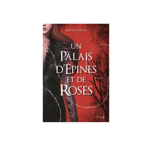 Un Palais d'Épines et de Roses - Sarah J.Maas